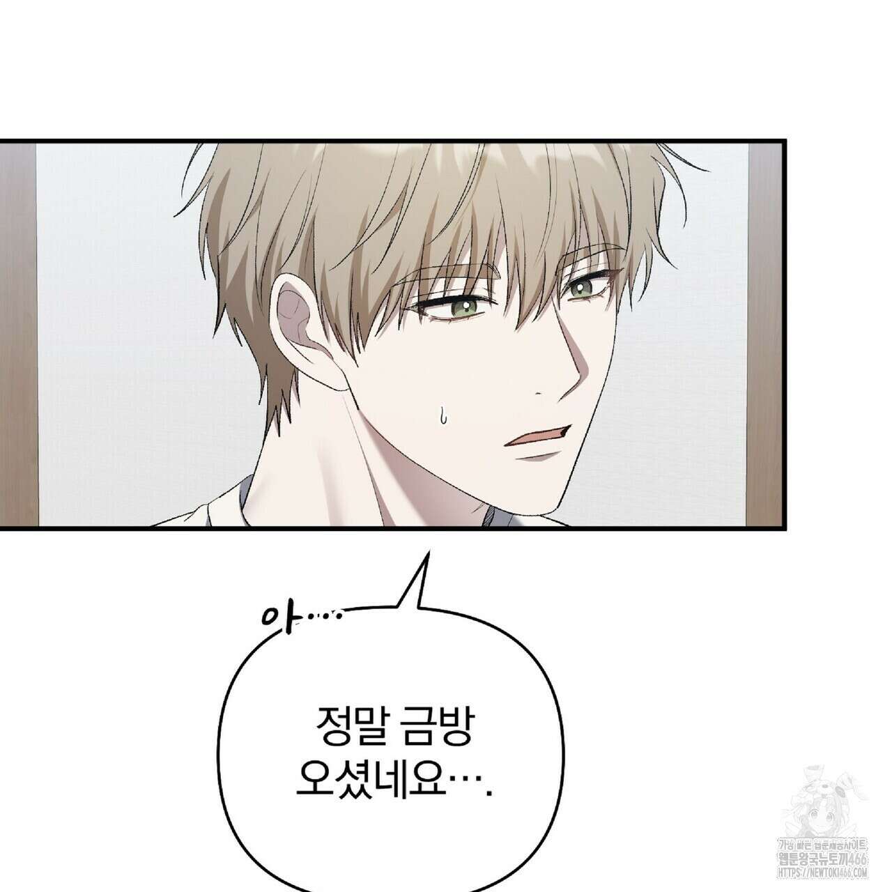 파노라마 뷰 9화 5