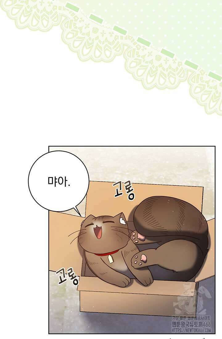한 줄짜리 영애였을 터 210화 5