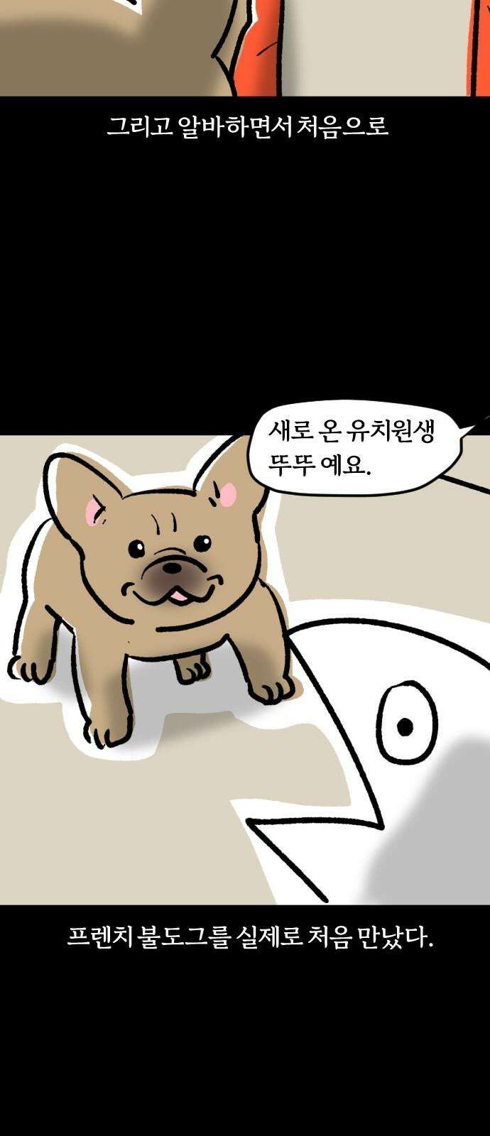 개집사 42화: 중안부가 짧아 슬픈 강아지 4