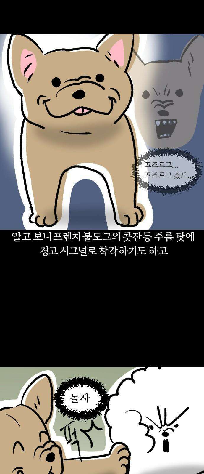 개집사 42화: 중안부가 짧아 슬픈 강아지 5