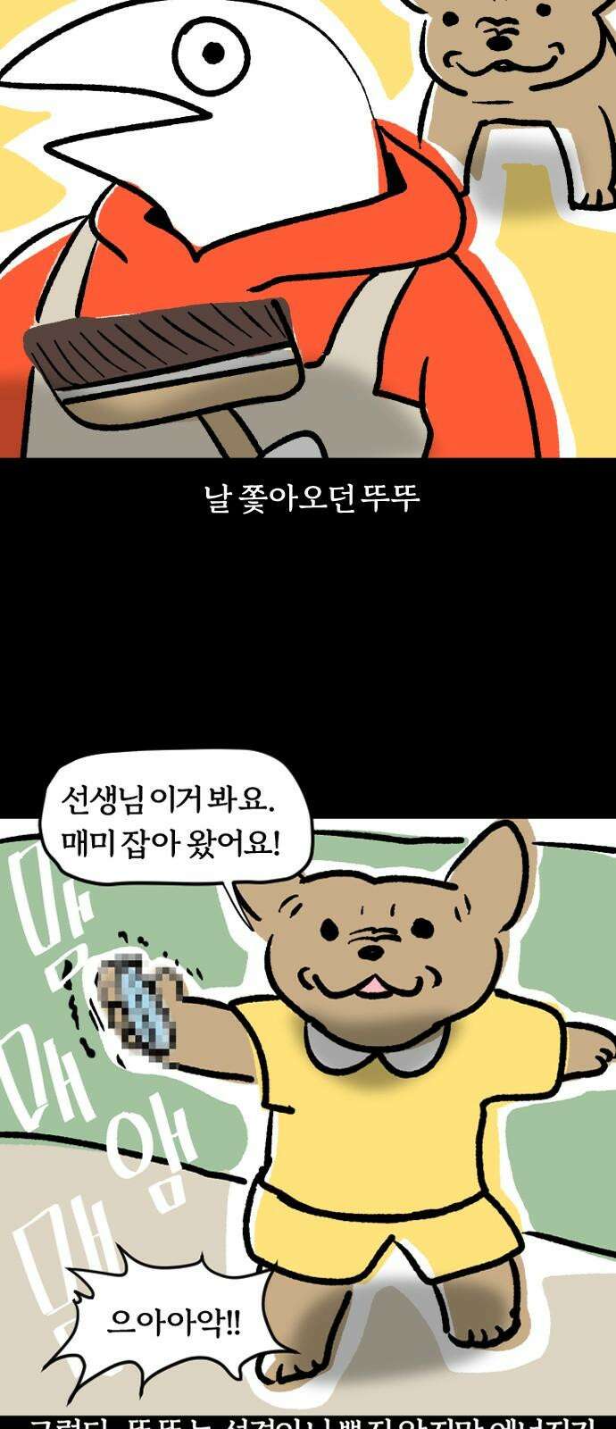 개집사 42화: 중안부가 짧아 슬픈 강아지 10