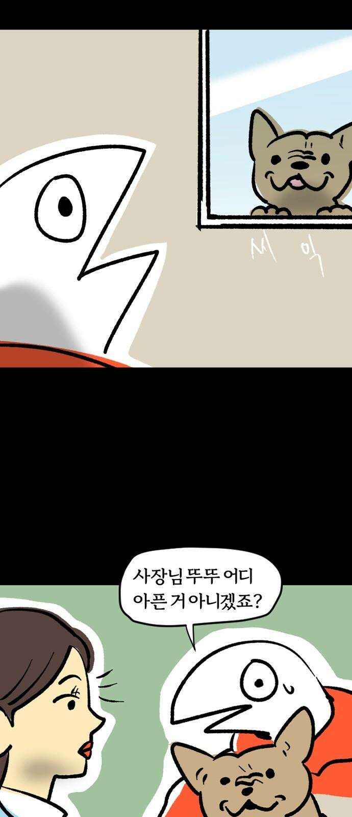 개집사 42화: 중안부가 짧아 슬픈 강아지 14