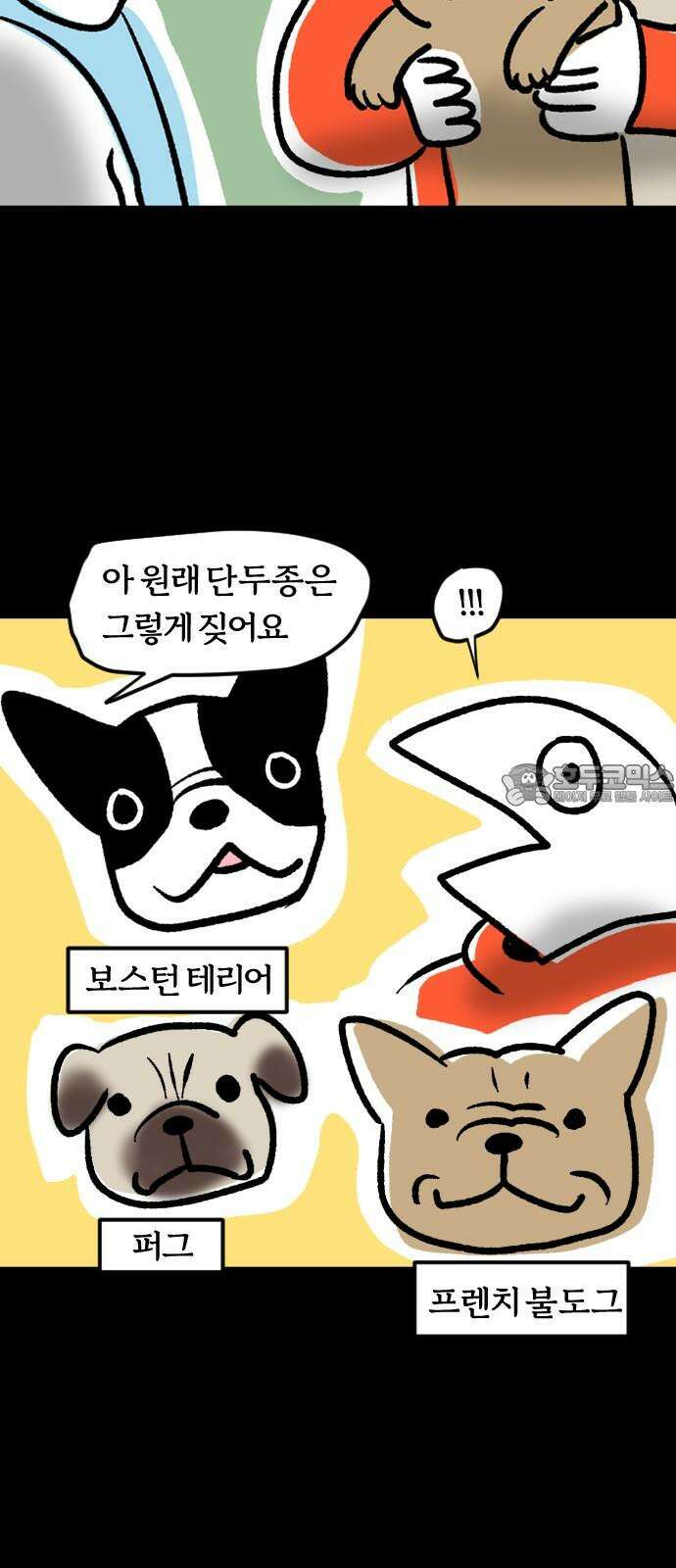 개집사 42화: 중안부가 짧아 슬픈 강아지 15