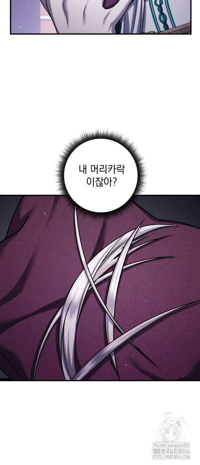 황후를 훔친 이는 누구인가 81화 21