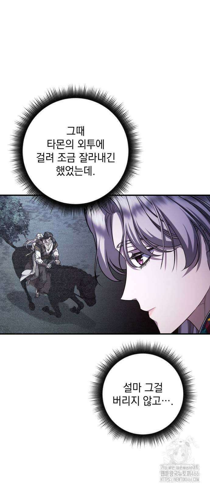 황후를 훔친 이는 누구인가 81화 22