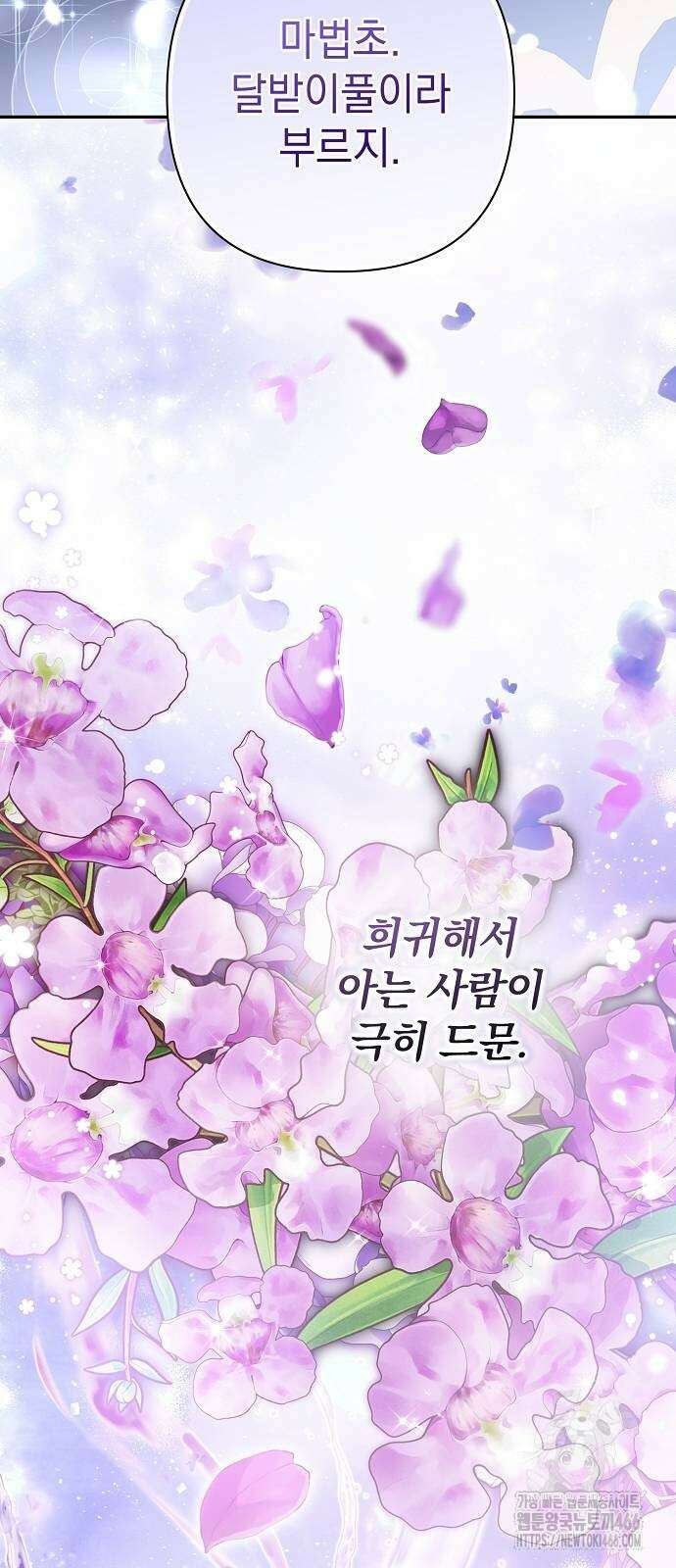 새장 밖의 프레세페 17화 5