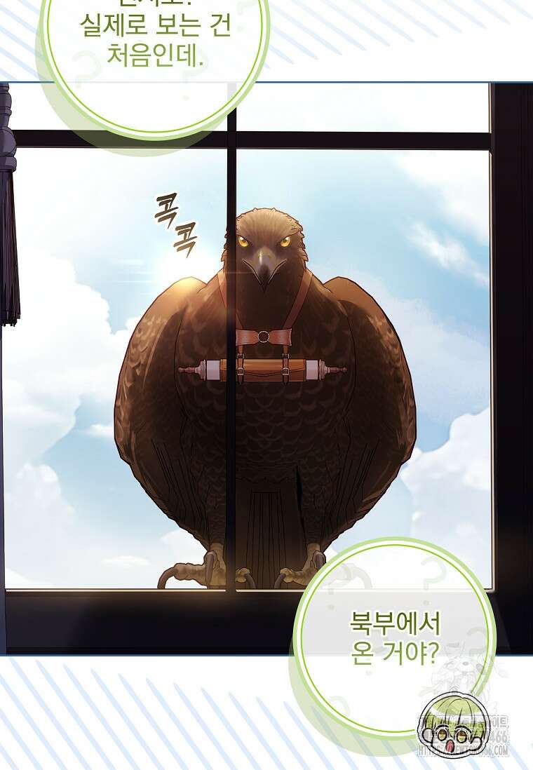 이혼은 전문 변호사에게 맡기세요 38화 47