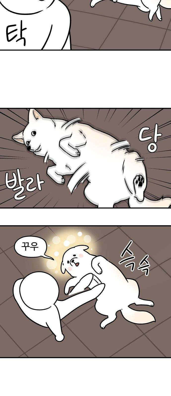 노곤하개 쇼츠 ~키우는 집 특징 4