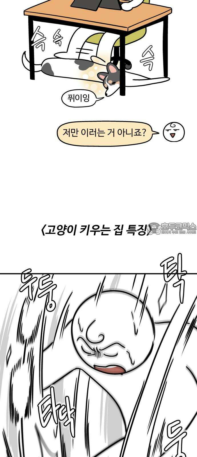 노곤하개 쇼츠 ~키우는 집 특징 6