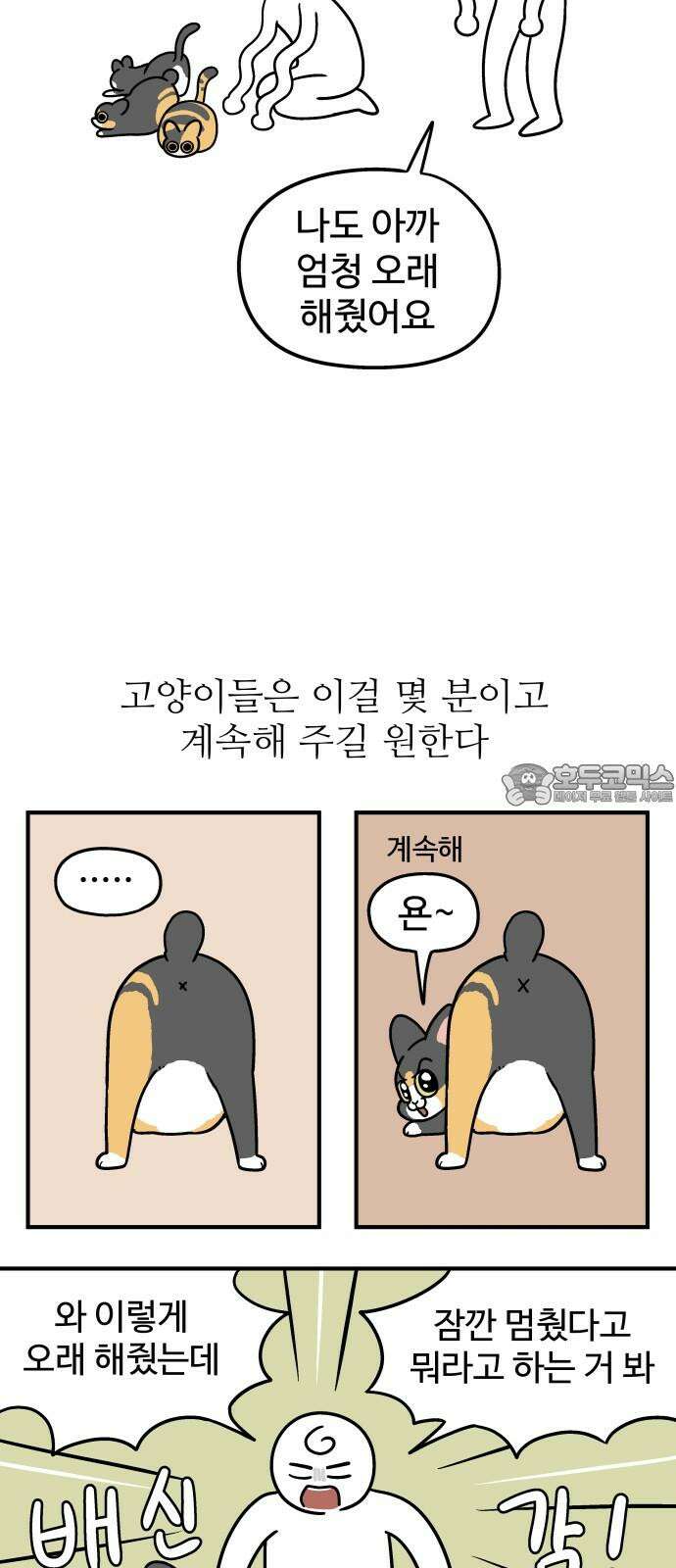 노곤하개 쇼츠 ~키우는 집 특징 9