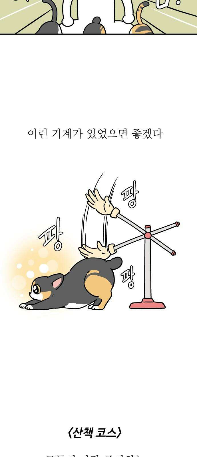 노곤하개 쇼츠 ~키우는 집 특징 10