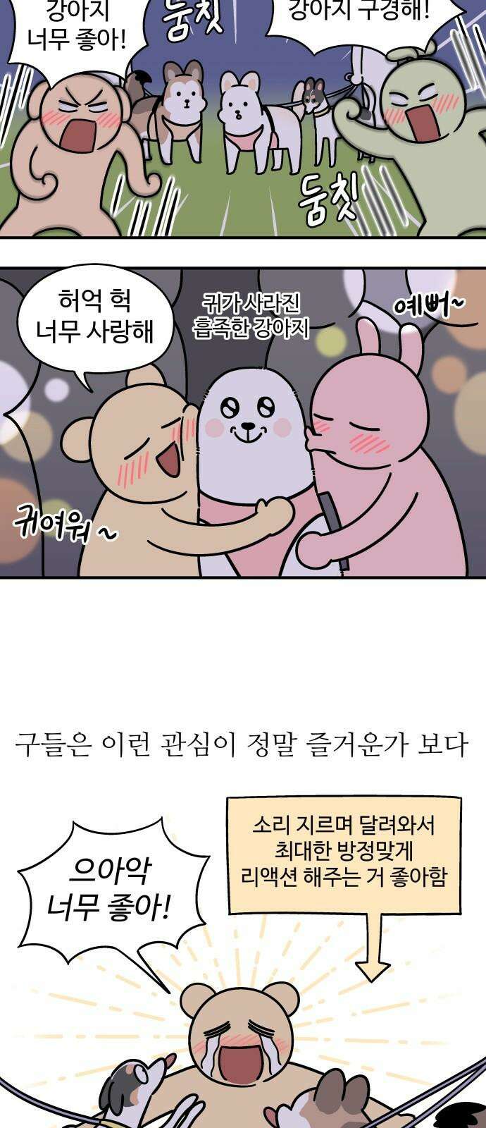 노곤하개 쇼츠 ~키우는 집 특징 14