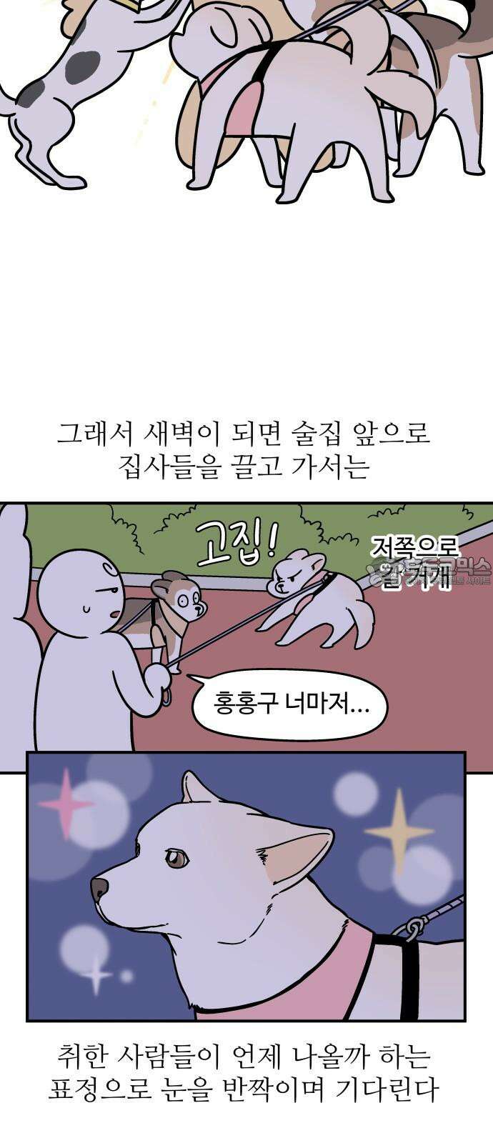 노곤하개 쇼츠 ~키우는 집 특징 15