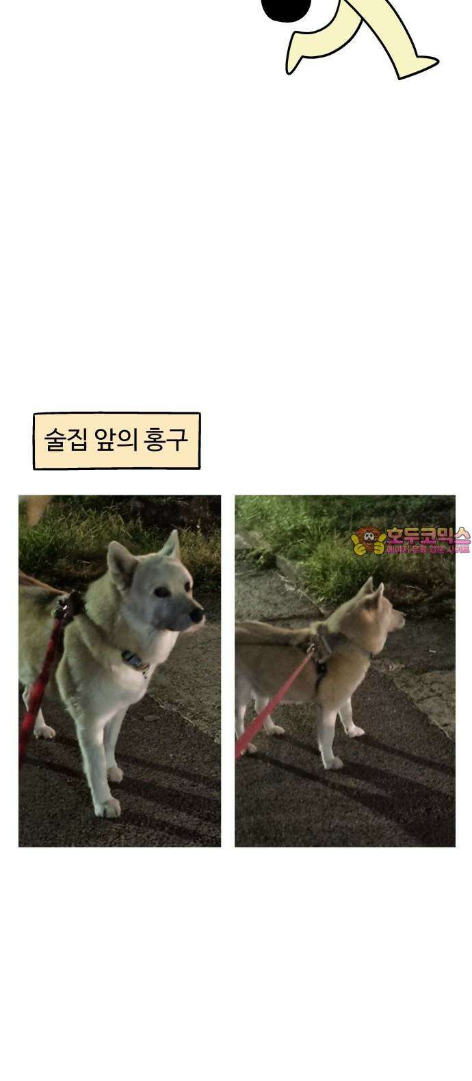 노곤하개 쇼츠 ~키우는 집 특징 18