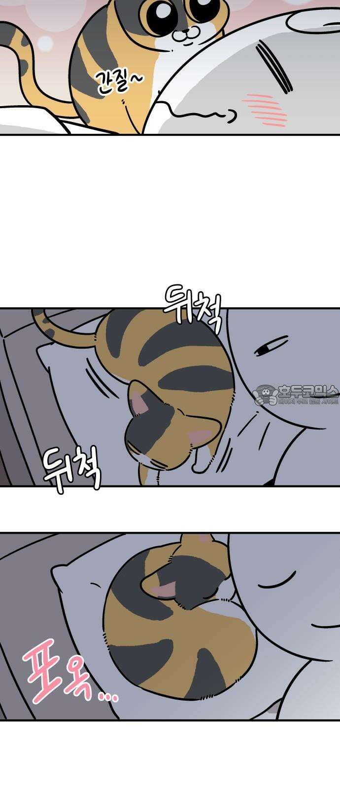 노곤하개 쇼츠 고양이의 꿀렁 소리 15