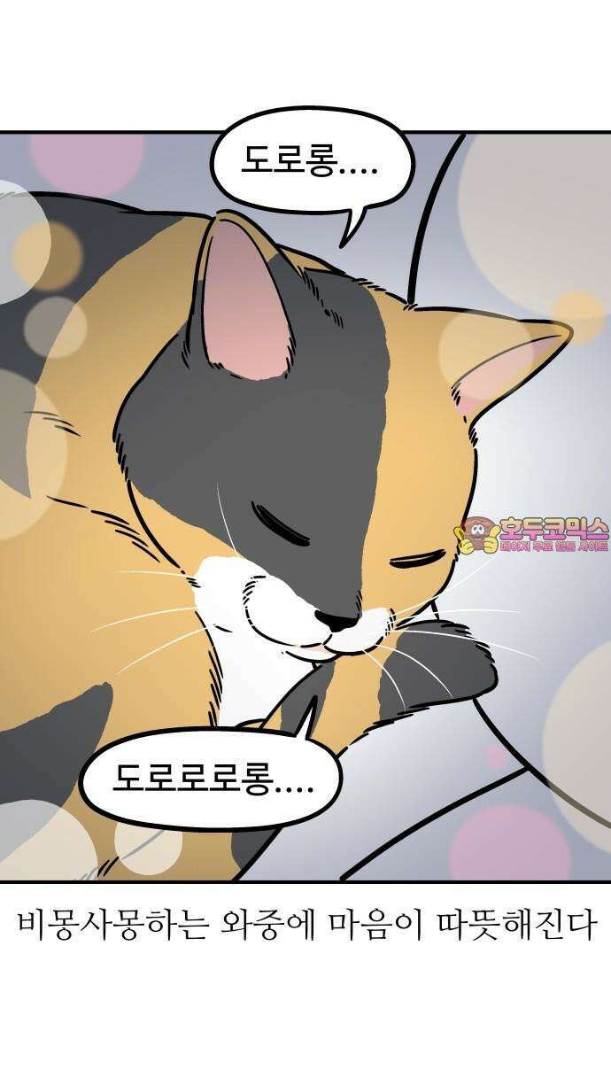 노곤하개 쇼츠 고양이의 꿀렁 소리 16