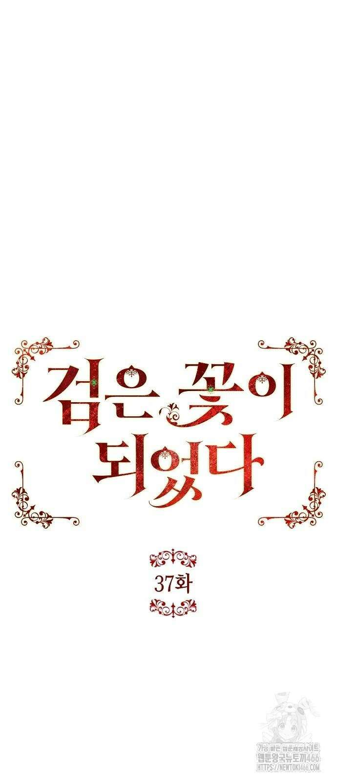 검은 꽃이 되었다 37화 8