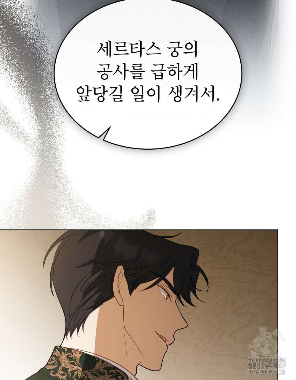 디에 멜루시네 39화 12