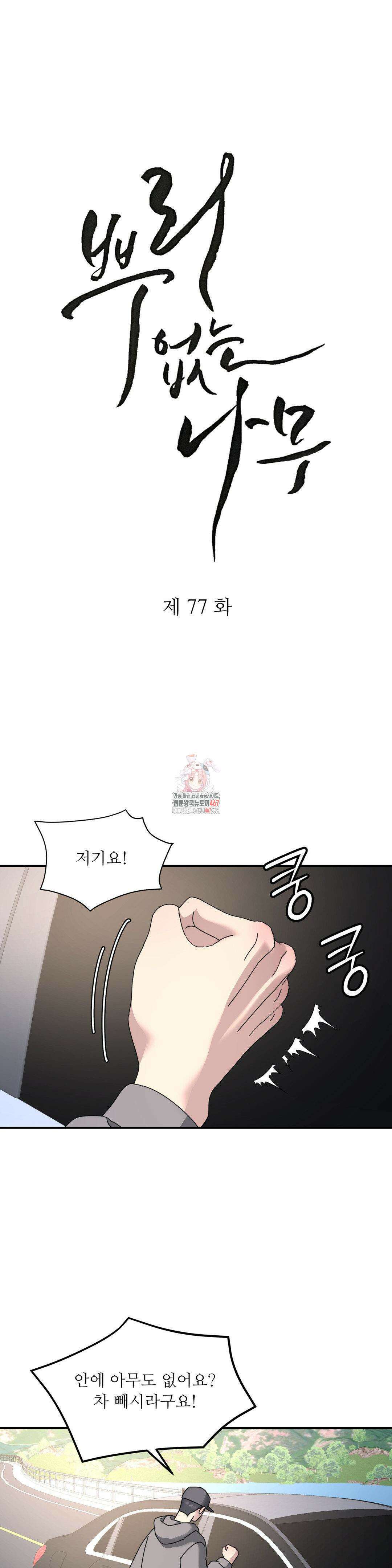 뿌리 없는 나무 77화 1