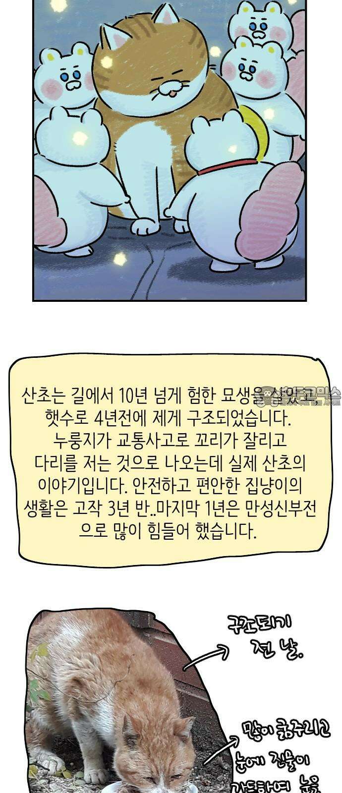 우리는 후라이족 1부 후기 15