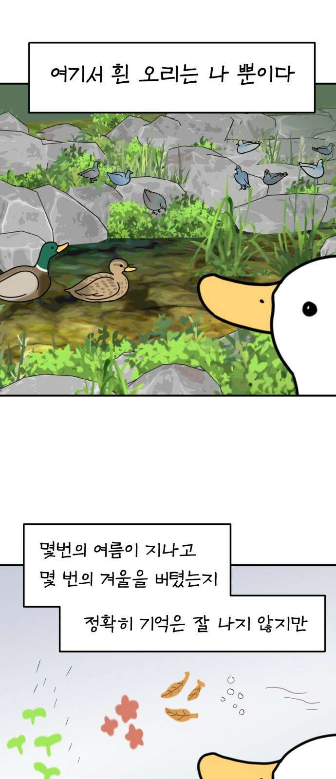성북구 비둘기 이헌서 32화 3