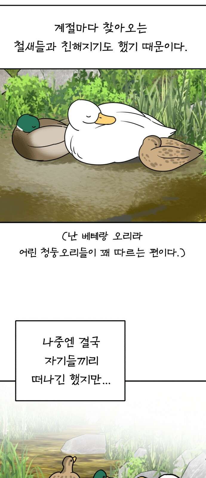 성북구 비둘기 이헌서 32화 10