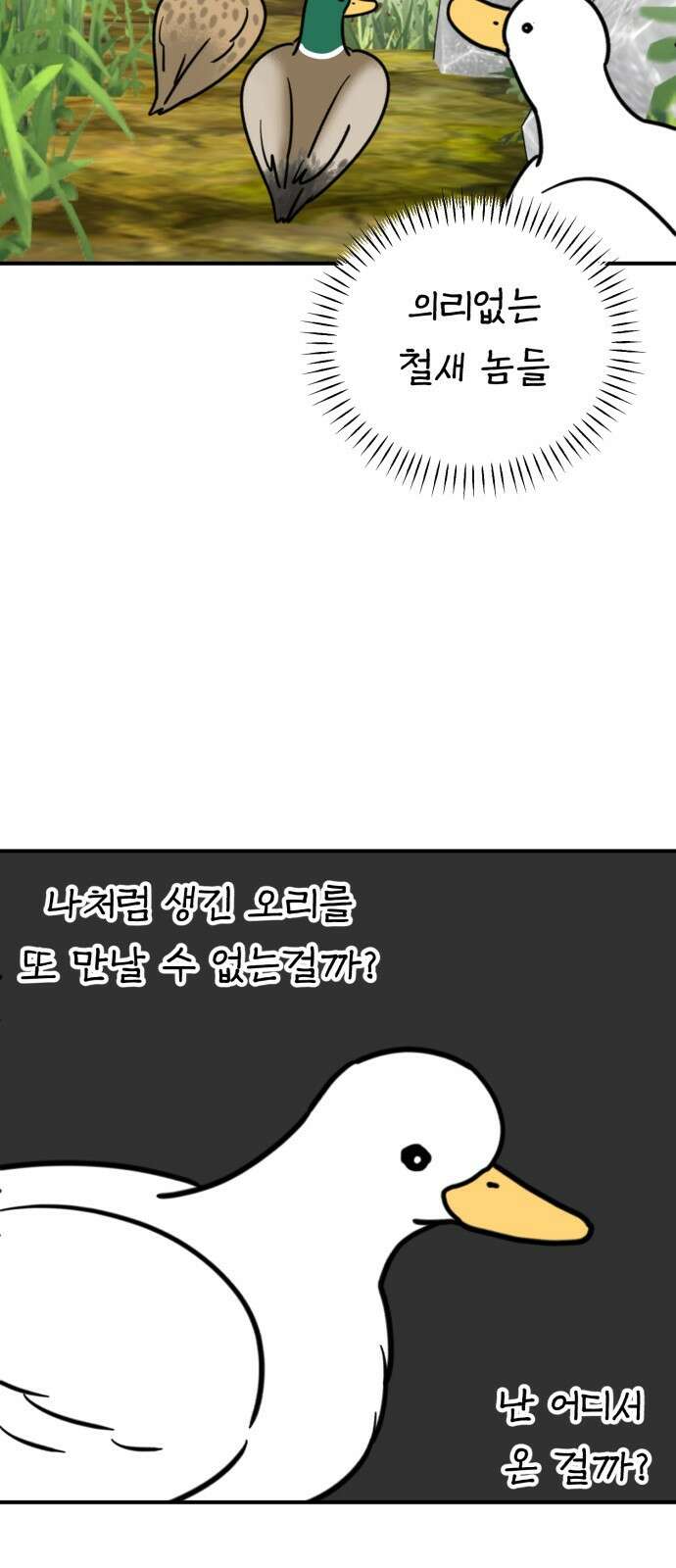 성북구 비둘기 이헌서 32화 11