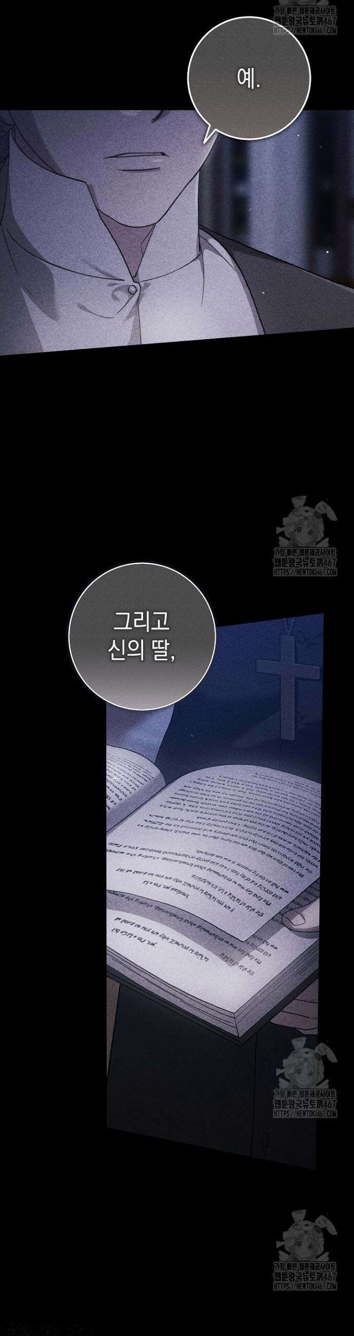 이 결혼은 어차피 망하게 되어 있다 95화 3
