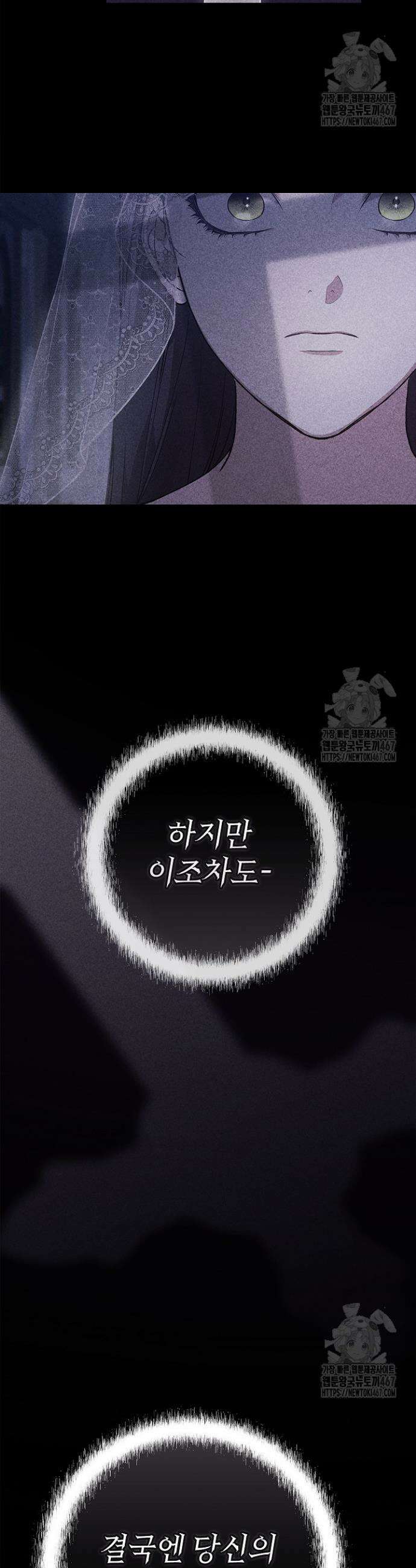 이 결혼은 어차피 망하게 되어 있다 95화 12