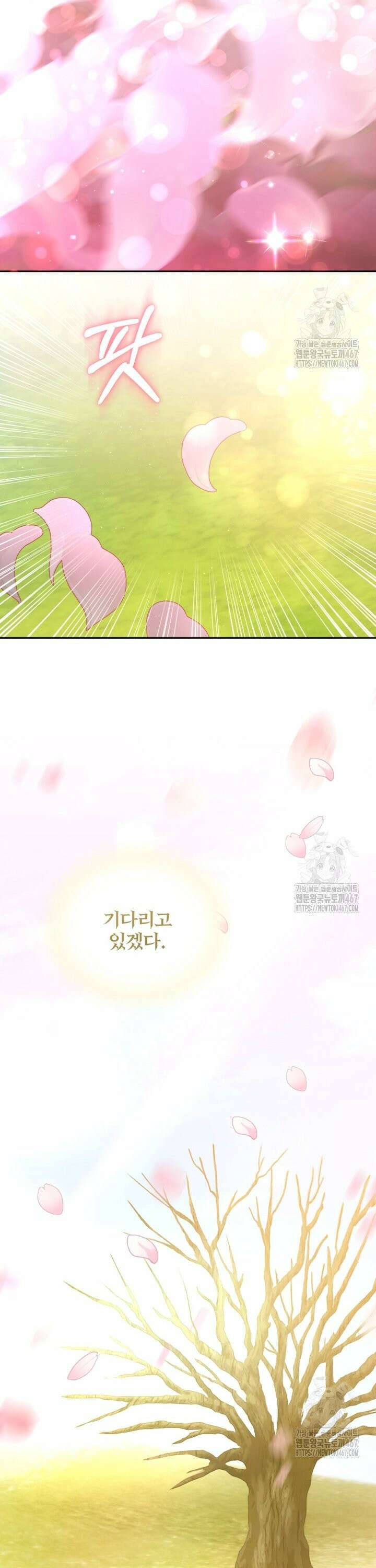 미친 악당의 품으로 떨어졌다 53화 15