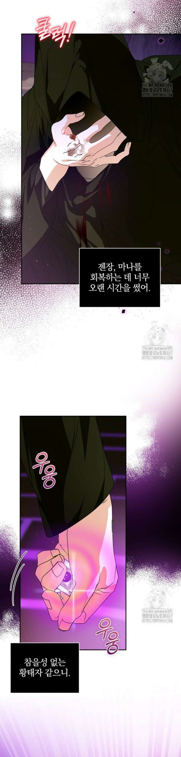 미친 악당의 품으로 떨어졌다 53화 29