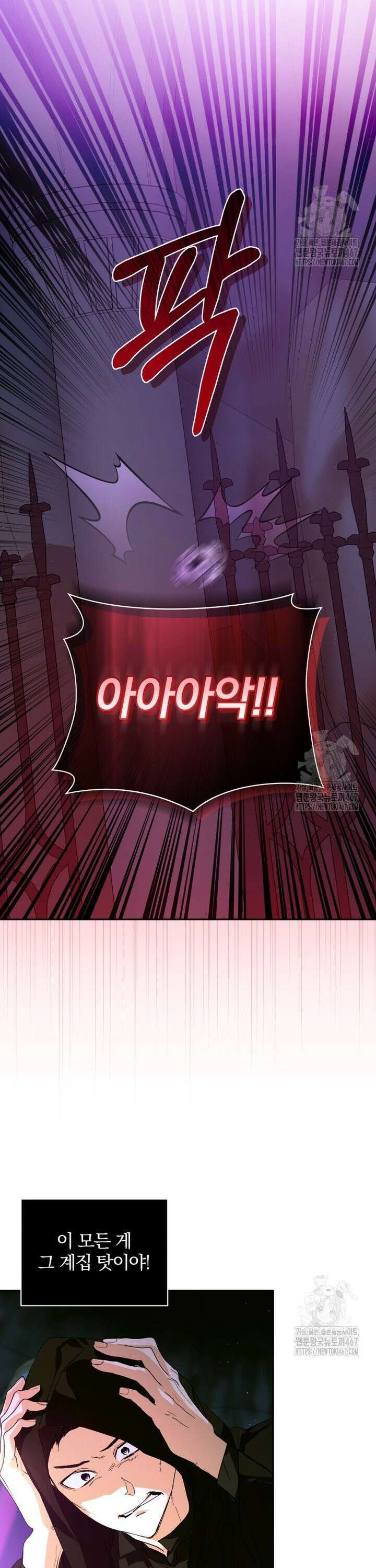 미친 악당의 품으로 떨어졌다 53화 30