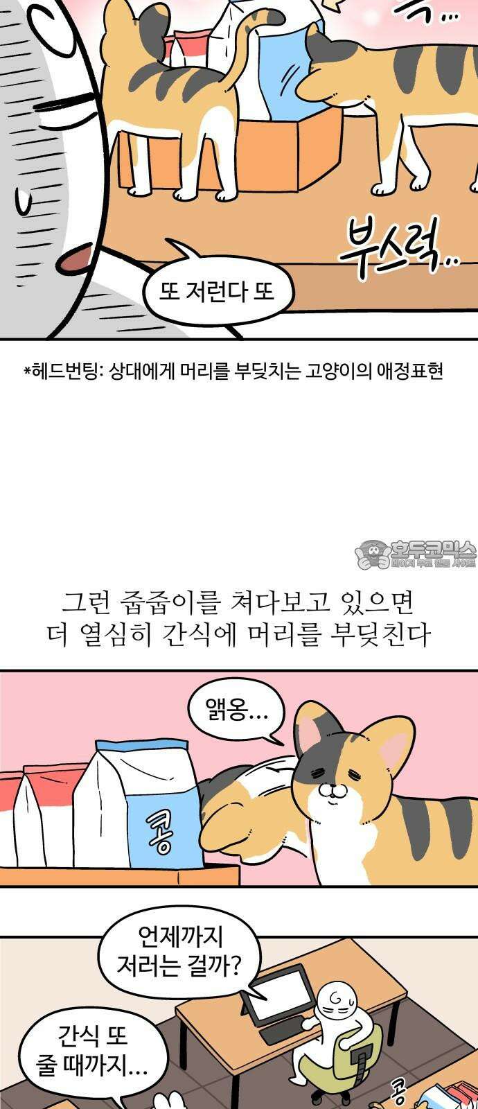 노곤하개 쇼츠 최애 간식 3