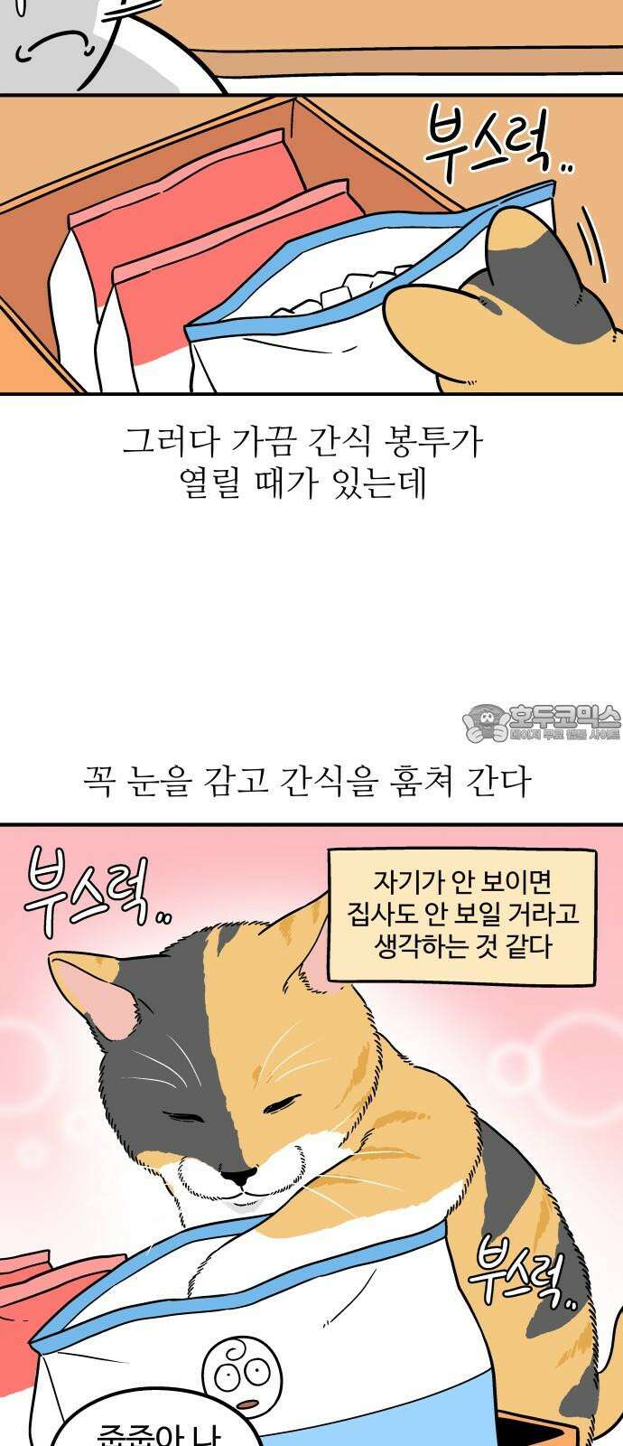노곤하개 쇼츠 최애 간식 6