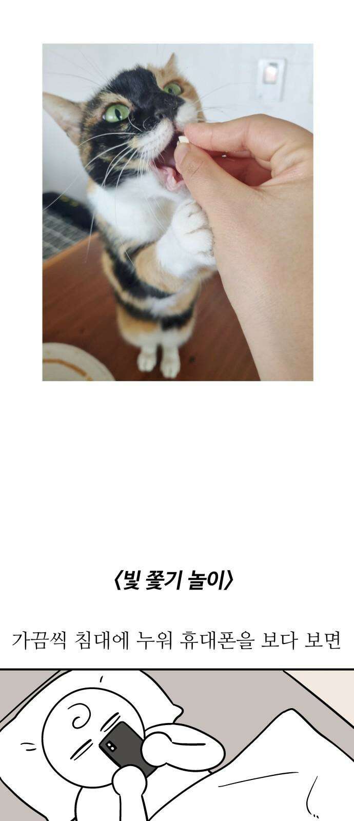 노곤하개 쇼츠 최애 간식 8