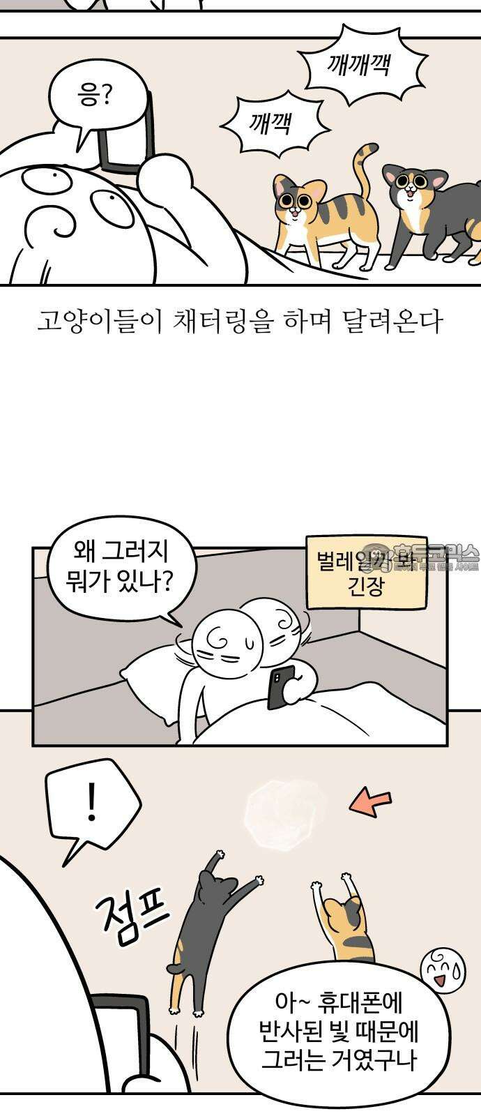 노곤하개 쇼츠 최애 간식 9