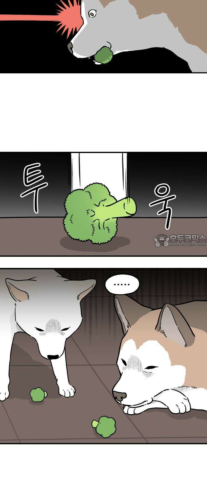 노곤하개 쇼츠 최애 간식 15