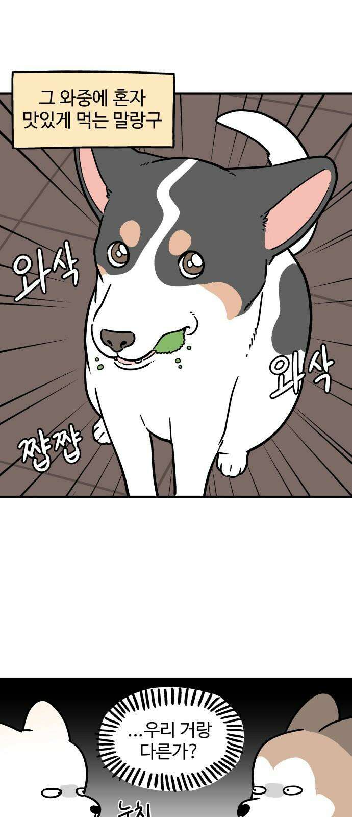노곤하개 쇼츠 최애 간식 16