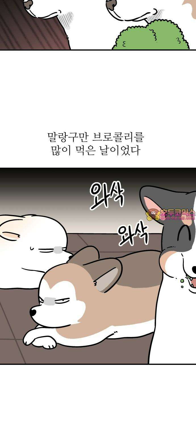 노곤하개 쇼츠 최애 간식 18