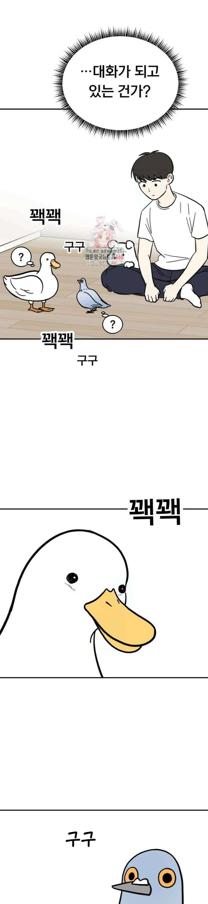 성북구 비둘기 이헌서 34화) 무당씨, 오리씨, 헌서씨, 똘귀씨, 휘혈씨．．． 1