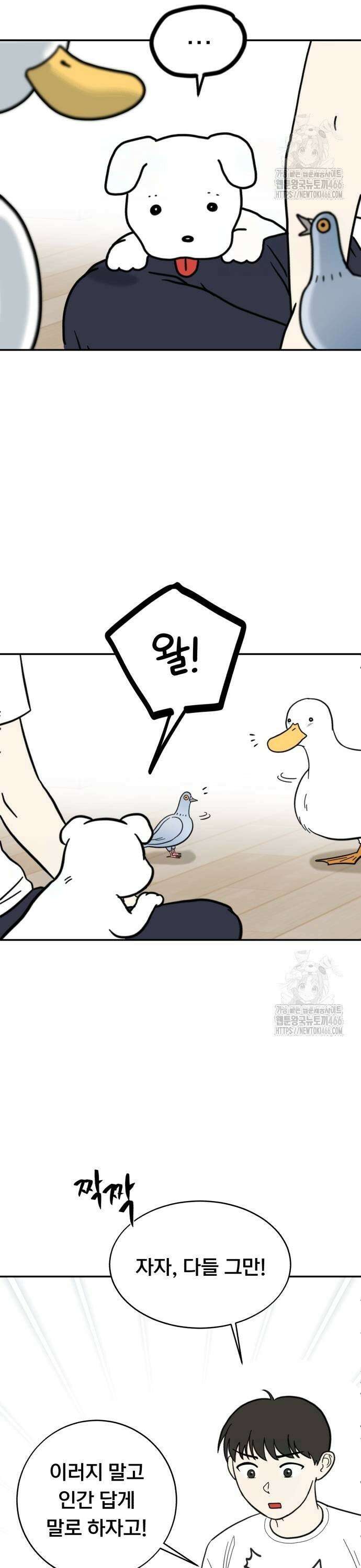 성북구 비둘기 이헌서 34화) 무당씨, 오리씨, 헌서씨, 똘귀씨, 휘혈씨．．． 3