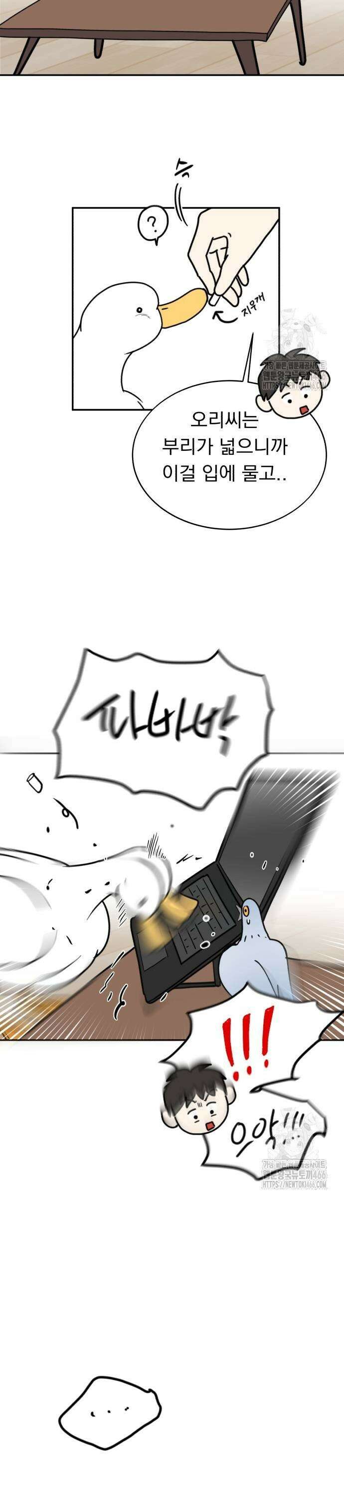 성북구 비둘기 이헌서 34화) 무당씨, 오리씨, 헌서씨, 똘귀씨, 휘혈씨．．． 5