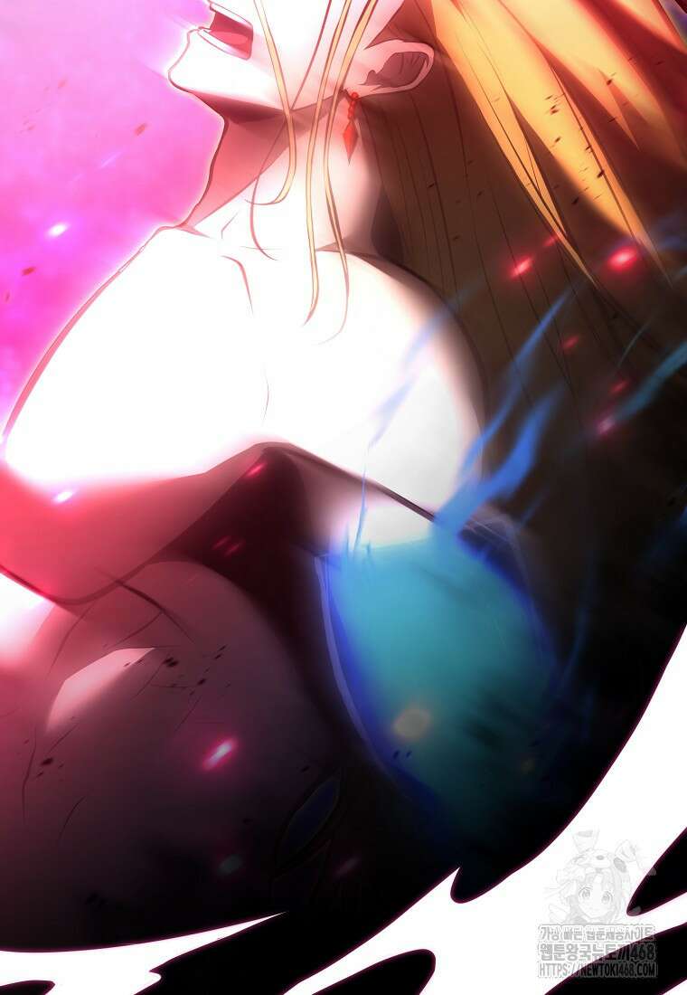 회귀했는데 FFF급 부두술사 111화 24