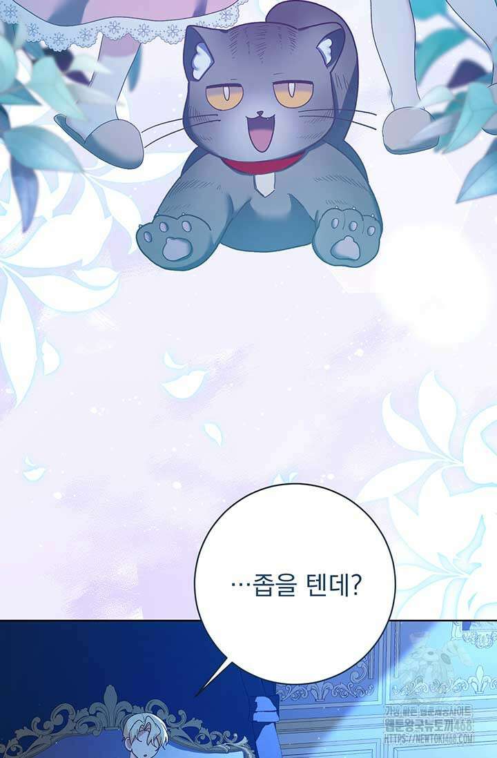 한 줄짜리 영애였을 터 218화 84