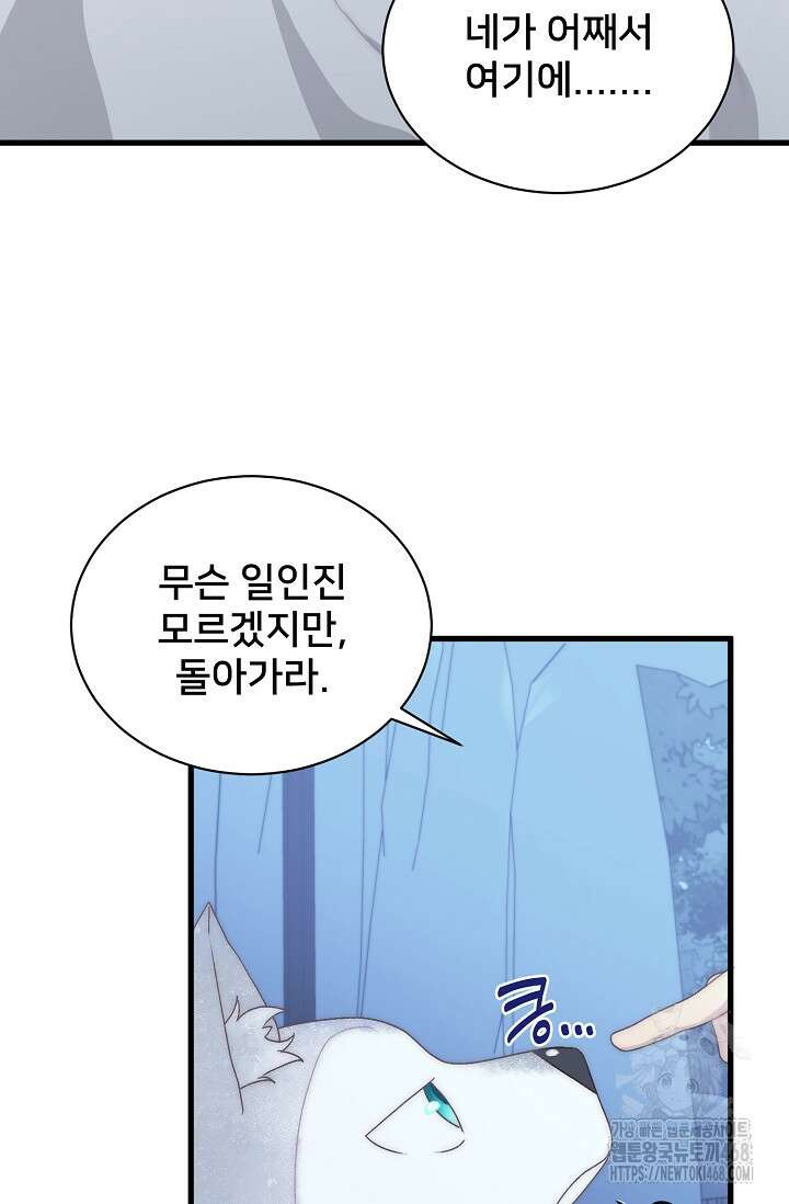 막내가 세계 멸망을 막는 중이래요 59화 14
