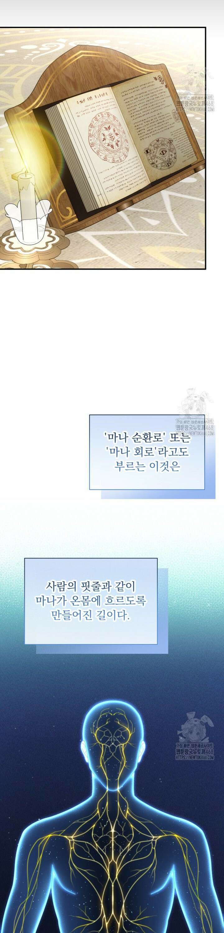 신의 사랑을 받는 아이, 황금빛 그라티아 78화 4
