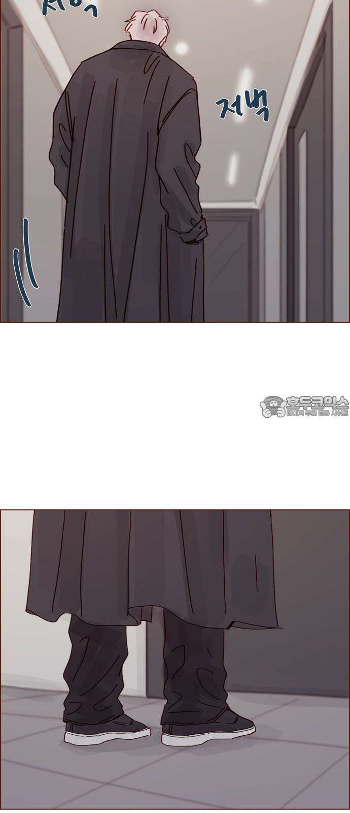 홍시는 날 좋아해! 304화 : 할 수 있어． 할 수 있어． 할 수 있어 33