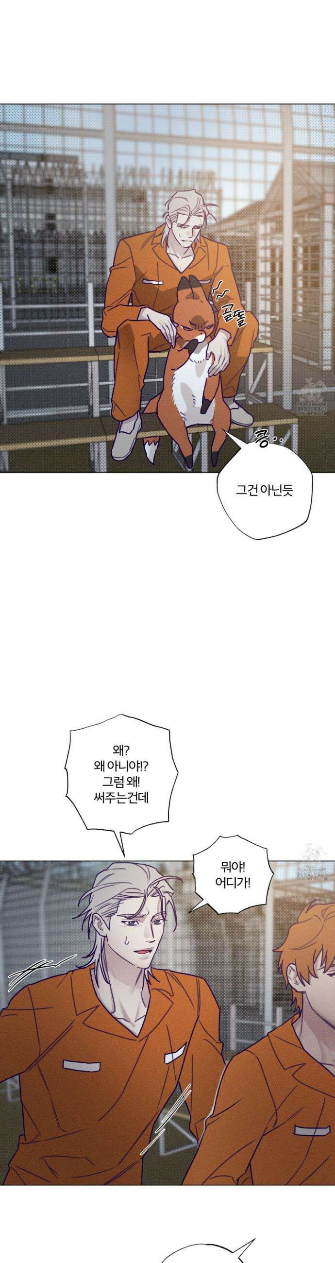 프리즌 블랙퍼스트 31화 25