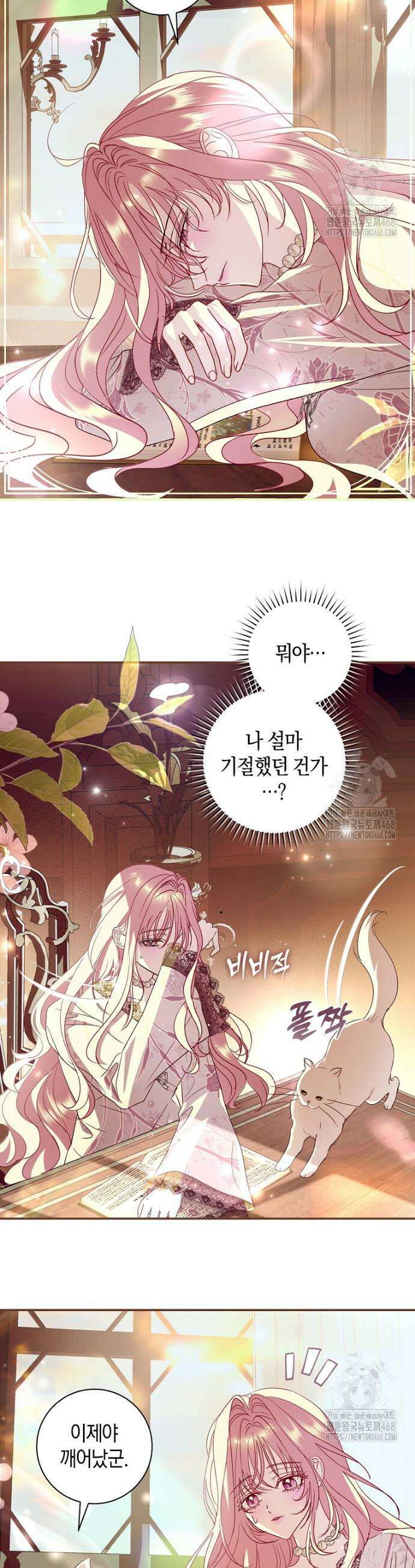 흑막님, 결혼 빼고 다 해드릴게요! 11화 2