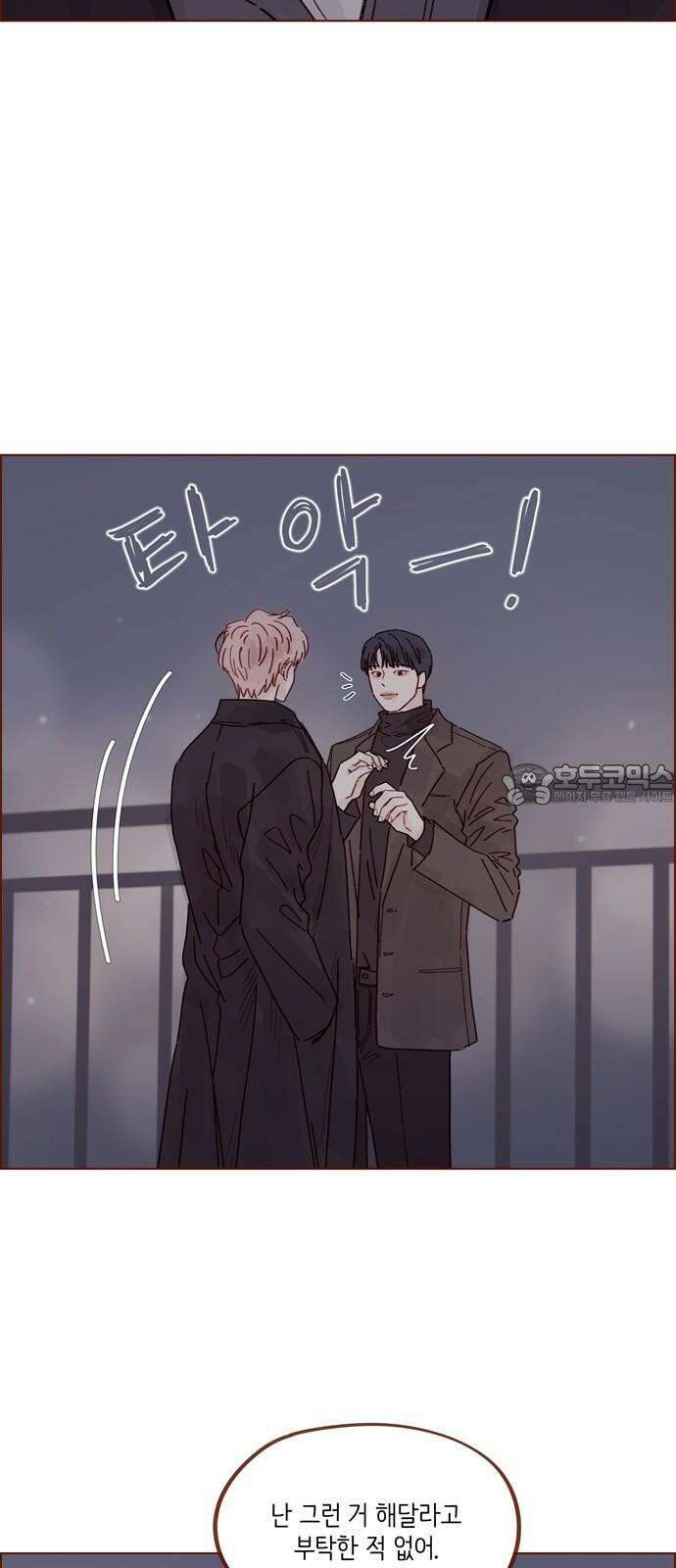 홍시는 날 좋아해! 306화 : 건드리지 말라고 했잖아 9